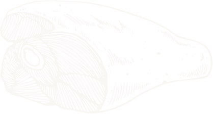 about-shape-1-2.png about-shape-1-2.png